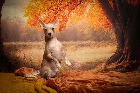 Rhiannon Clements_03