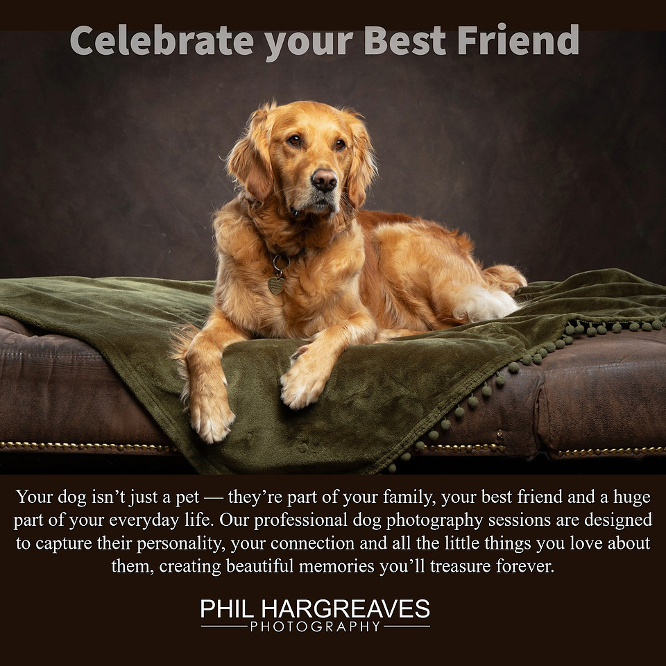 Dogs Trust Promo Sept 26